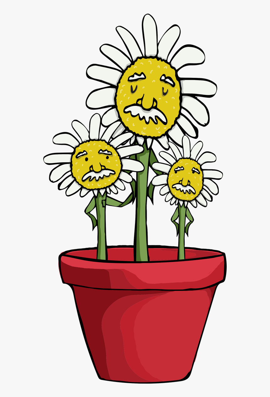 Flowerpot, HD Png Download