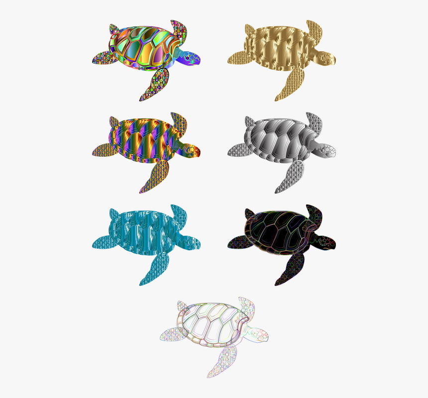 Green Sea Turtle, HD Png Download