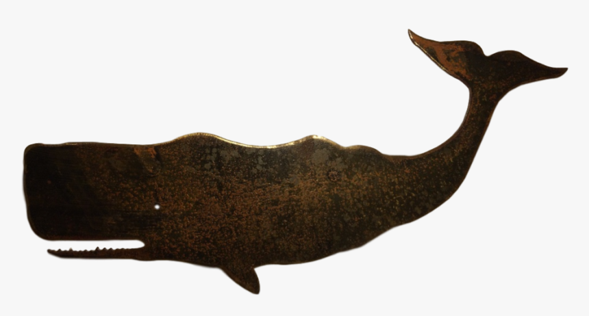 Thumb Img 1214 1024 Clipped Rev 1, HD Png Download