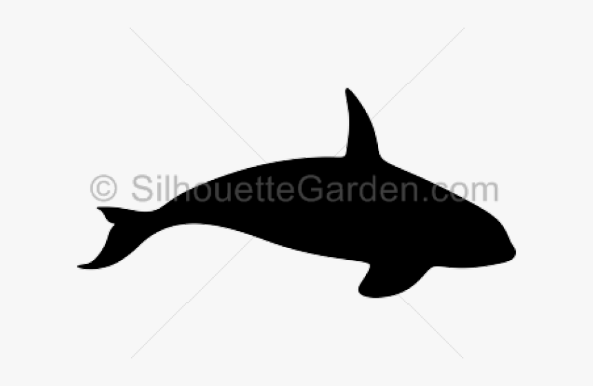 Transparent Whale Silhouette Png - Killer Whale Silhouette, Png Download