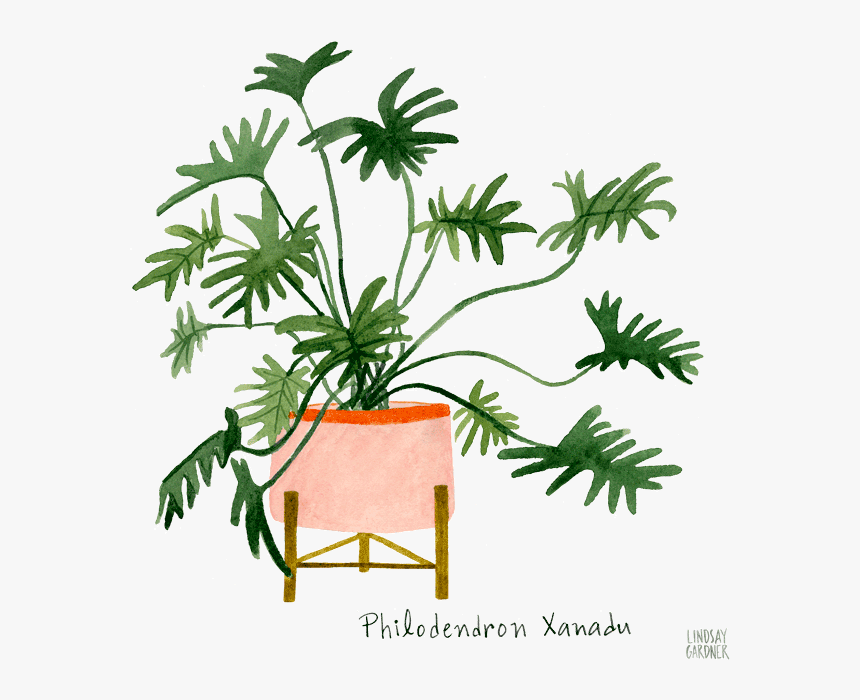 ٢٠ رمضان, HD Png Download