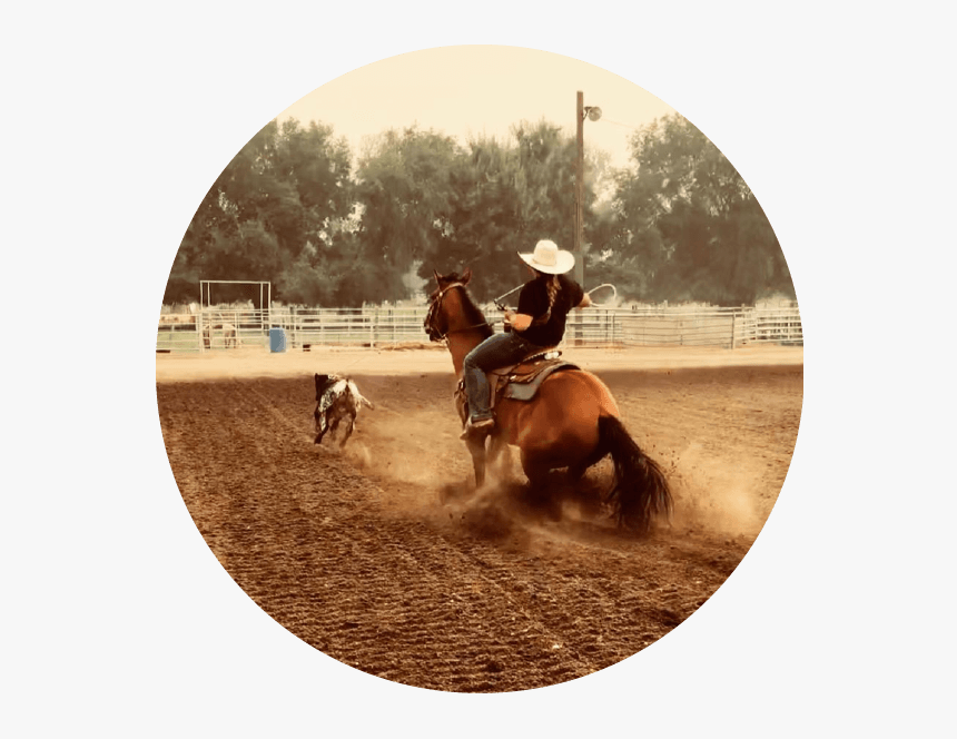 Sorrel, HD Png Download