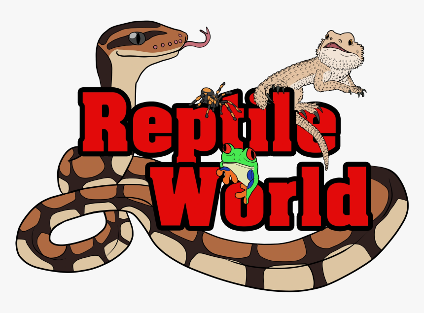 Image1 - Cartoon, HD Png Download