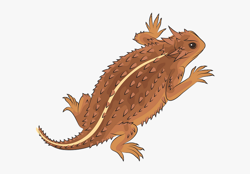 Illustration, HD Png Download