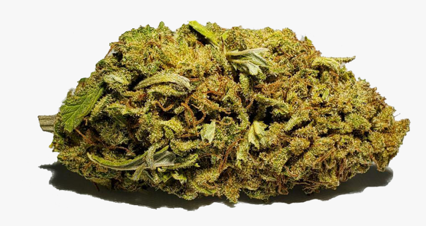 Silver Haze Bud Close Up - Moss, HD Png Download