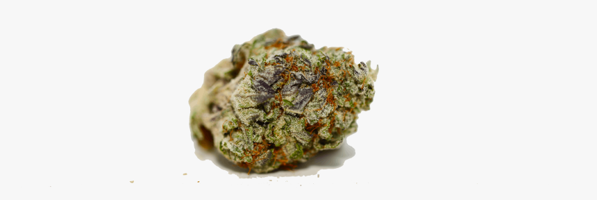 Weed Bud Png, Transparent Png