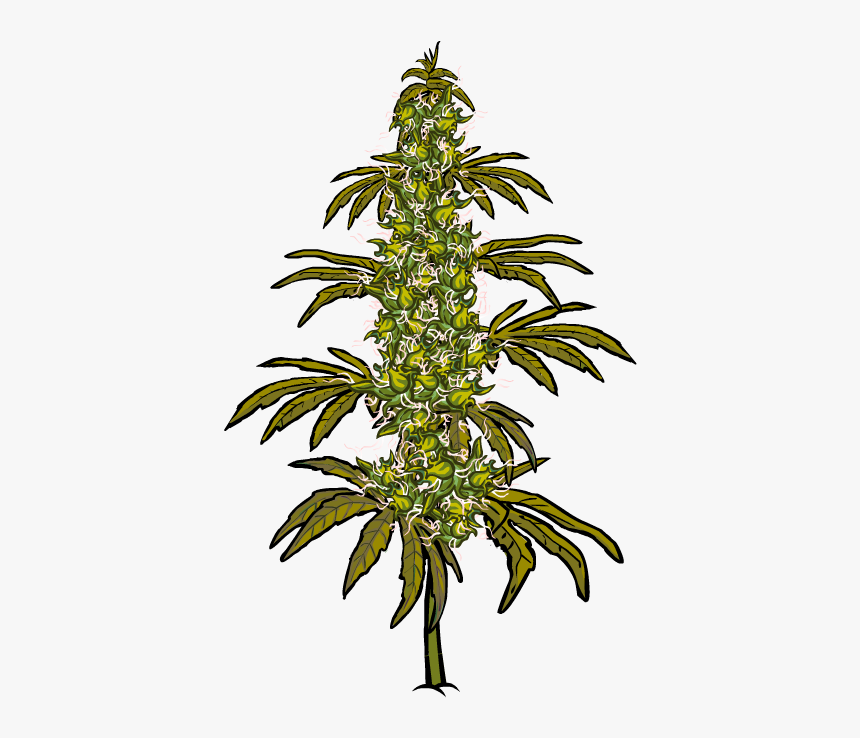 Stickers Messages Sticker-0 - Spruce, HD Png Download