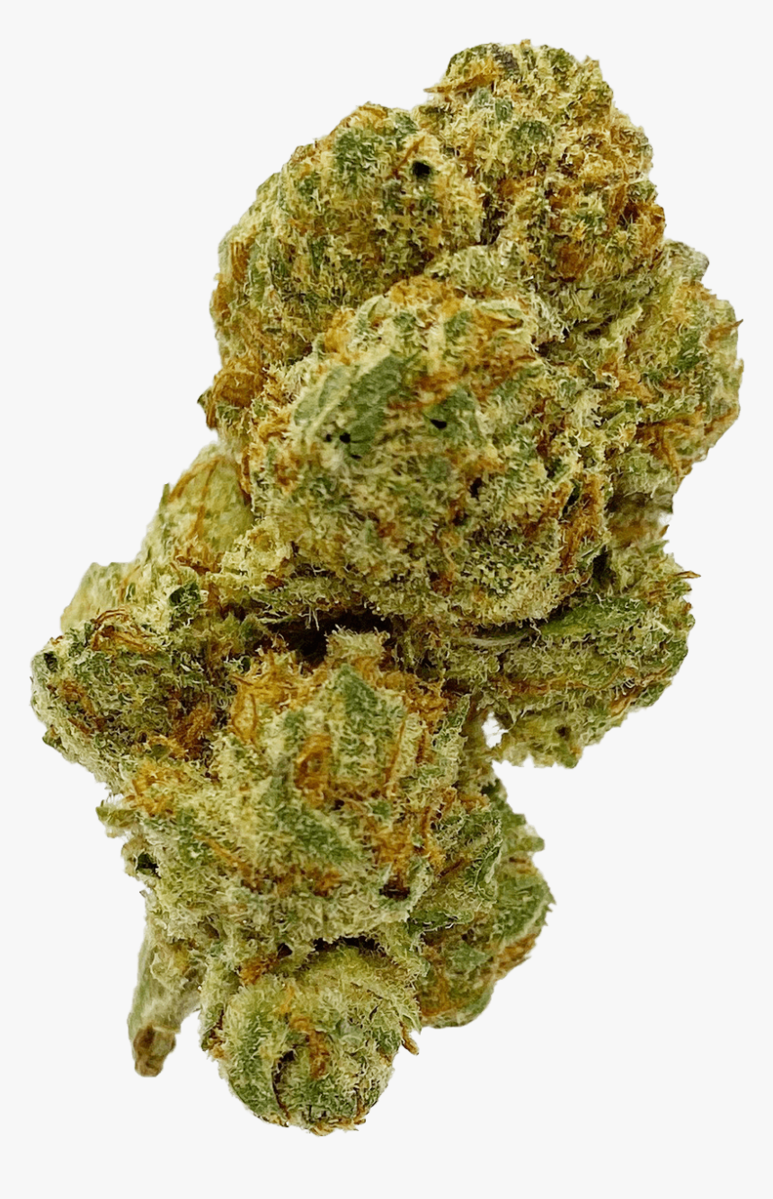 Moss, HD Png Download