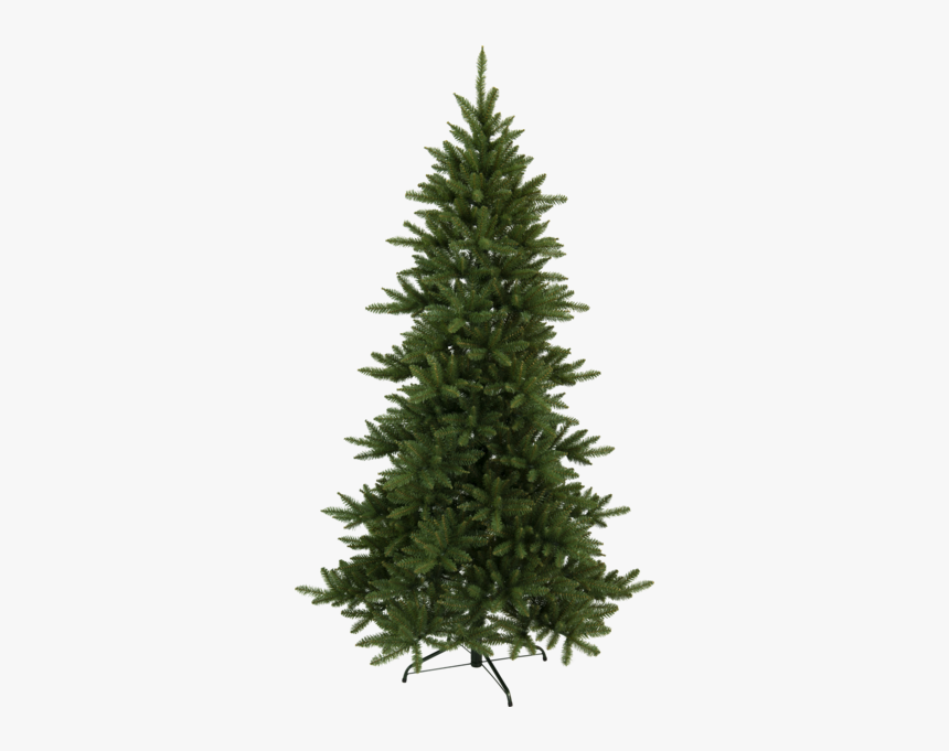 Christmas Tree Minnesota - Nordmann Fir 8 9 Christmas Tree, HD Png Download