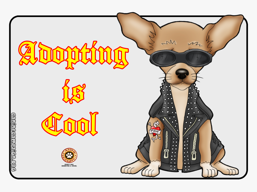 Chihuahua, HD Png Download