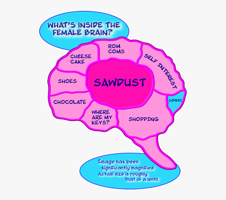 Inside The Female Mind, HD Png Download