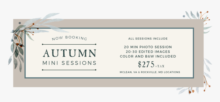 1260x300-fallminis - Mylene Farmer Pourvu Qu Elles, HD Png Download