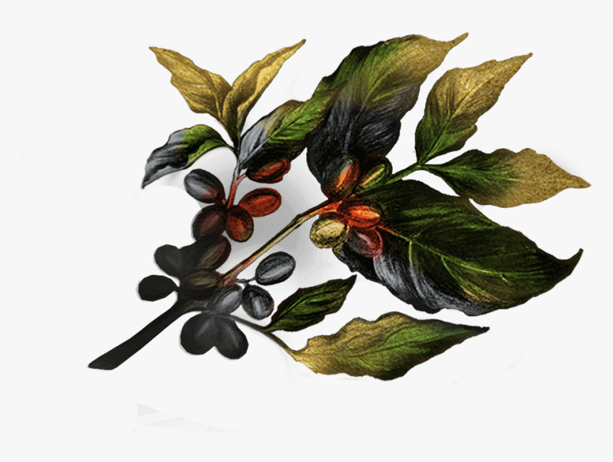 Beach Plum, HD Png Download