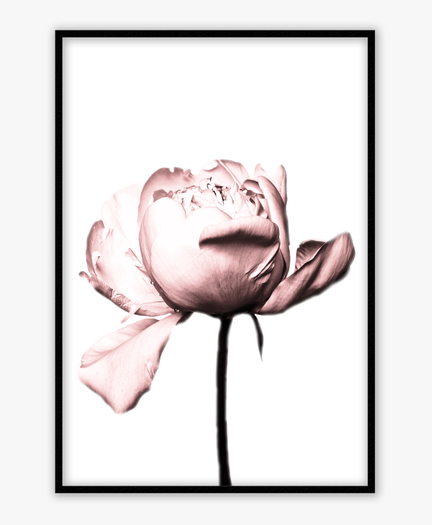 Prints For Bedroom, HD Png Download