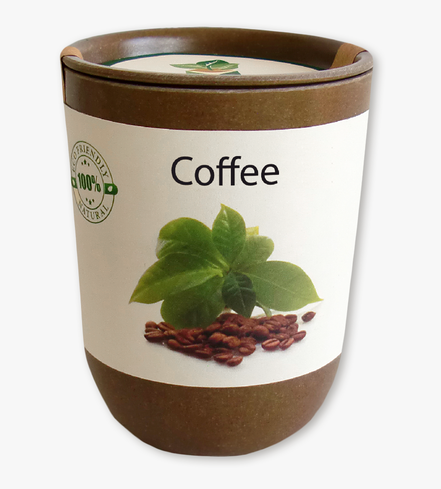 Flowerpot, HD Png Download