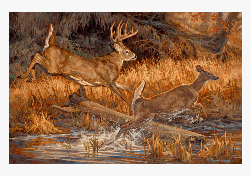 Copyright Ryan Kirby Whitetail Deer Oil Painting River - White Tailed Deer Painting, HD Png Download