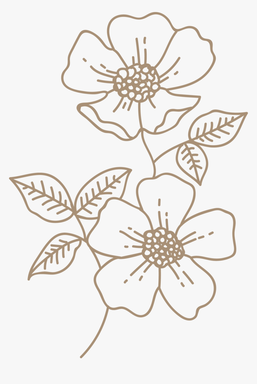 Brown Wild Rose, HD Png Download
