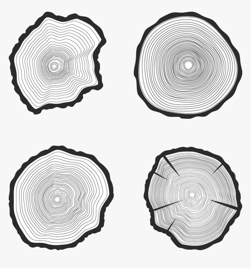 Black And White Tree Ring, HD Png Download