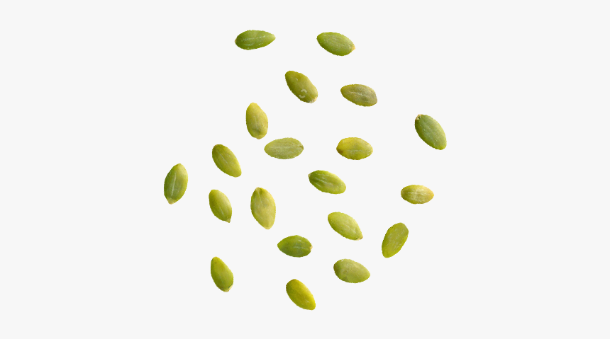 Seeds Bar - Circle, HD Png Download