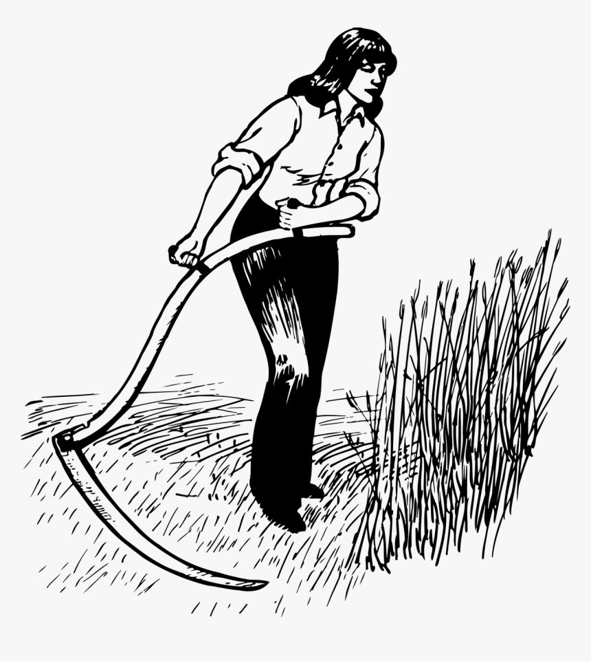 Harvesting Black And White Clipart, HD Png Download