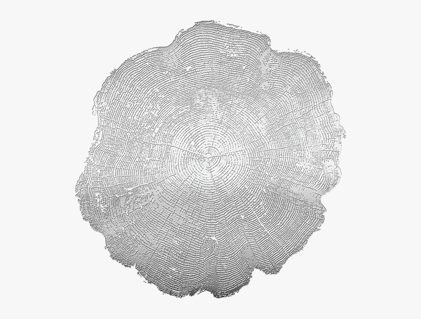 Doily, HD Png Download