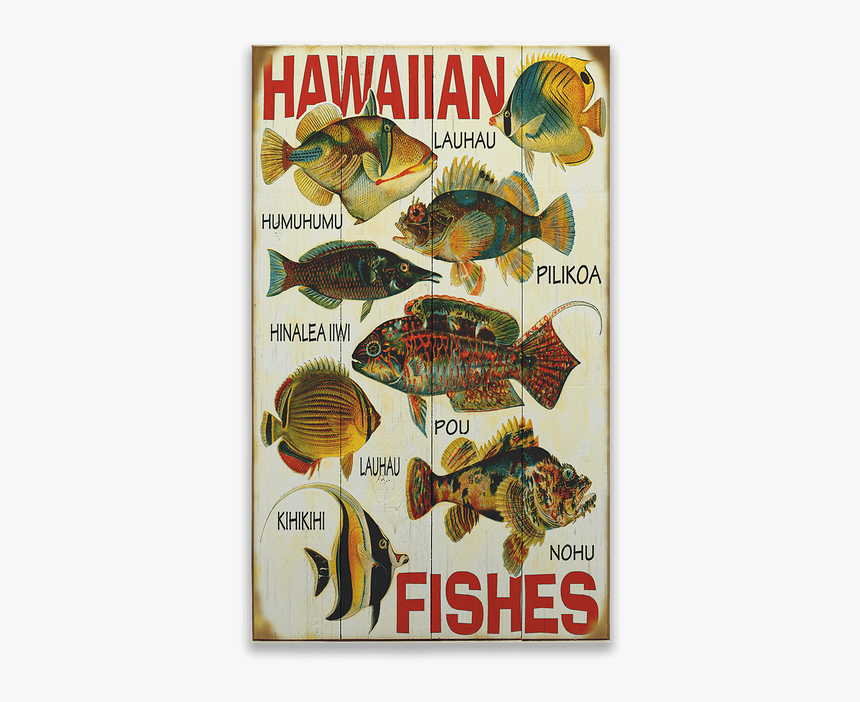 Hawaiian Fish, HD Png Download