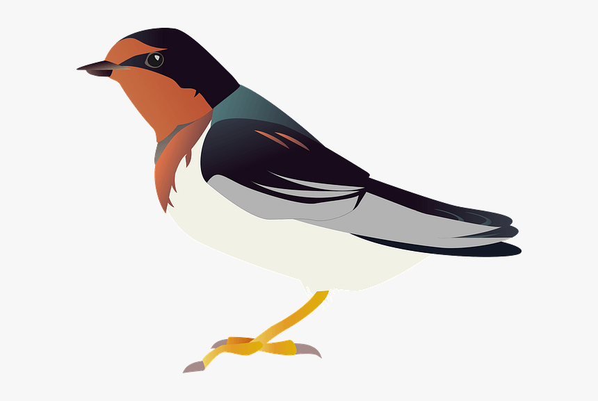 European Robin, HD Png Download