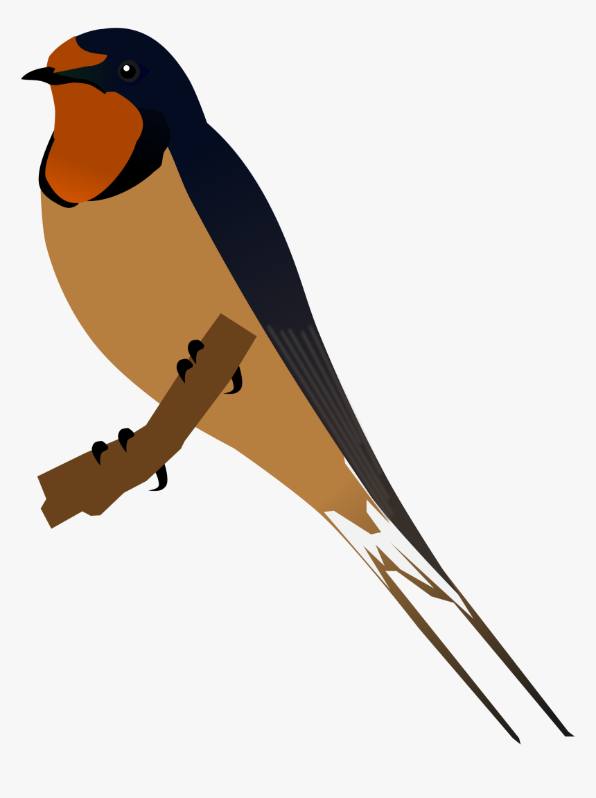 Swallow Png - Barn Swallow Png, Transparent Png