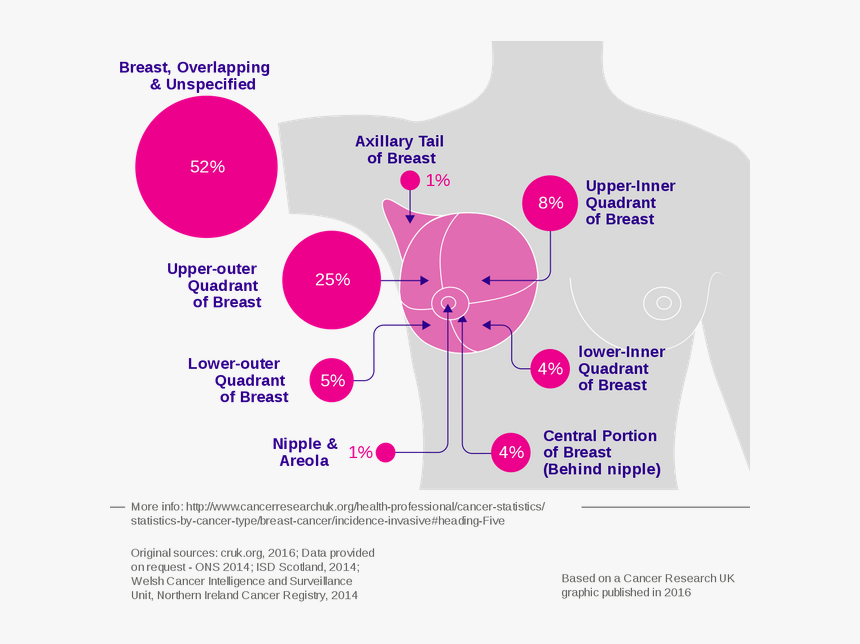 Breast Cancer Incidence By Anatomical Site - Site Of Breast Cancer, HD Png Download