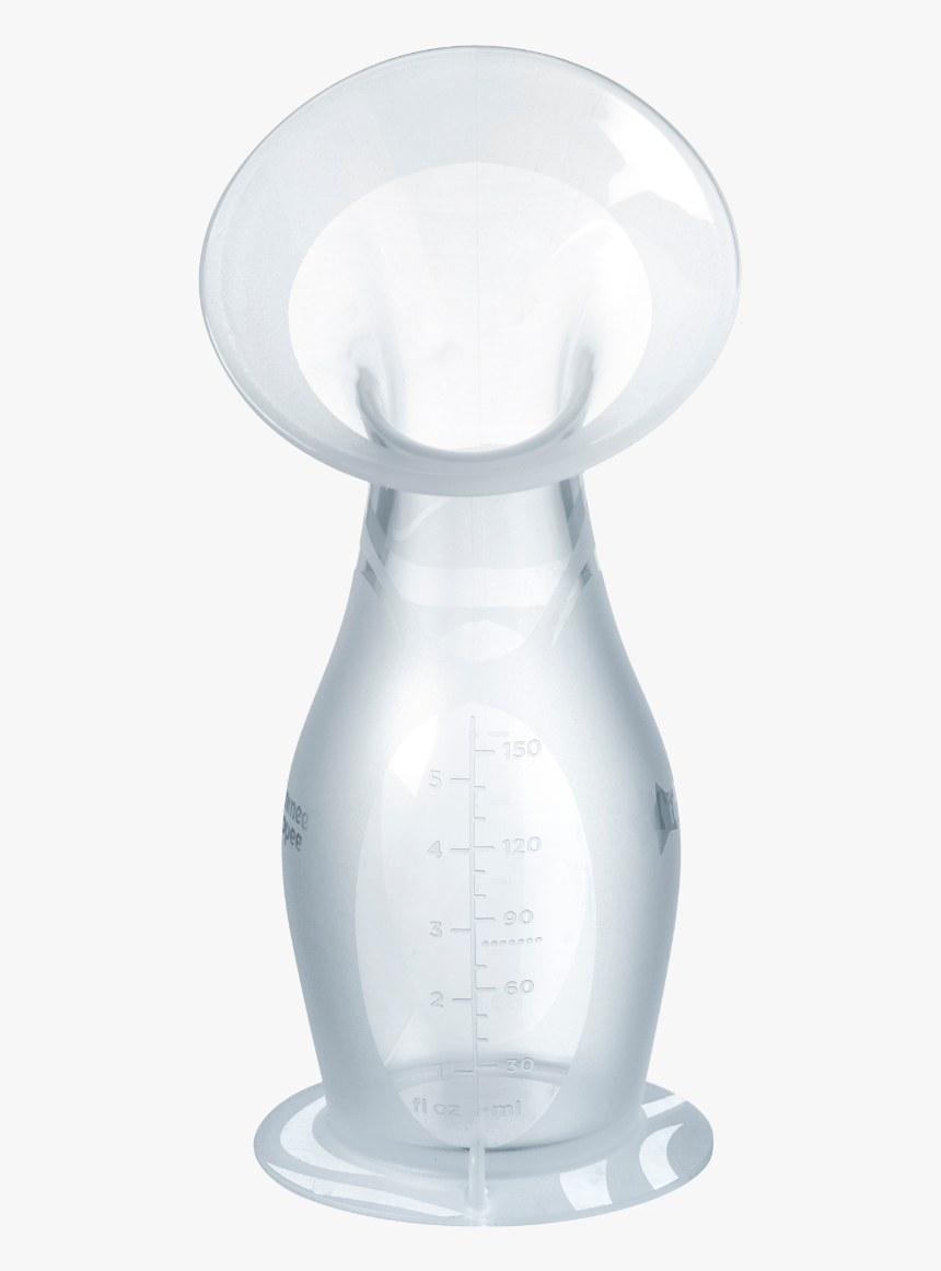 Still Life Photography, HD Png Download