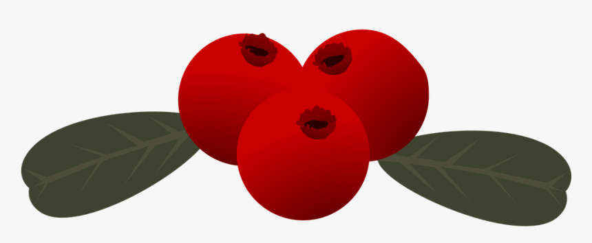 Berry Vector Red - Lingon Clipart, HD Png Download