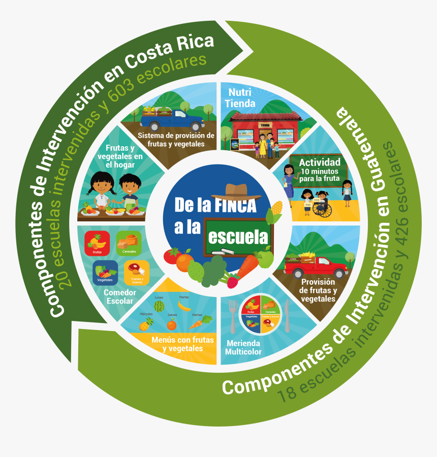 Huevos Png, Transparent Png