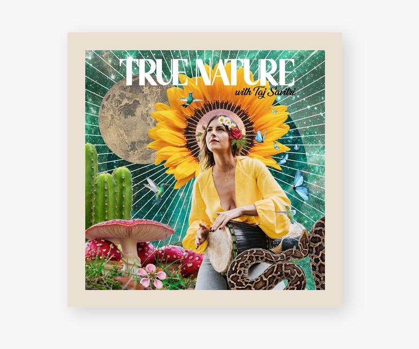 Poddy-shadow - Poster, HD Png Download