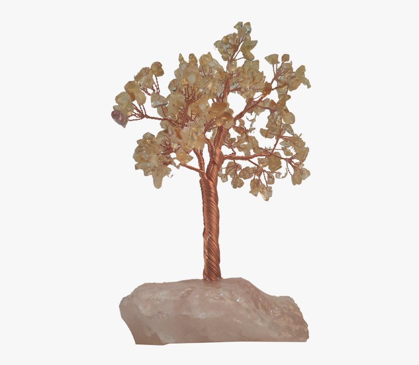 Swamp Maple, HD Png Download