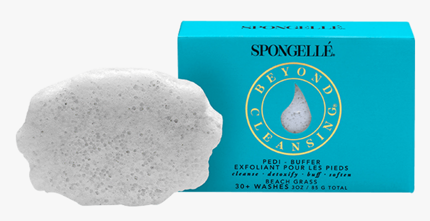 Beach Grass 
 Class - Spongelle, HD Png Download