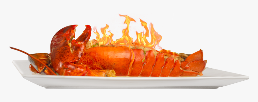 Fire, HD Png Download