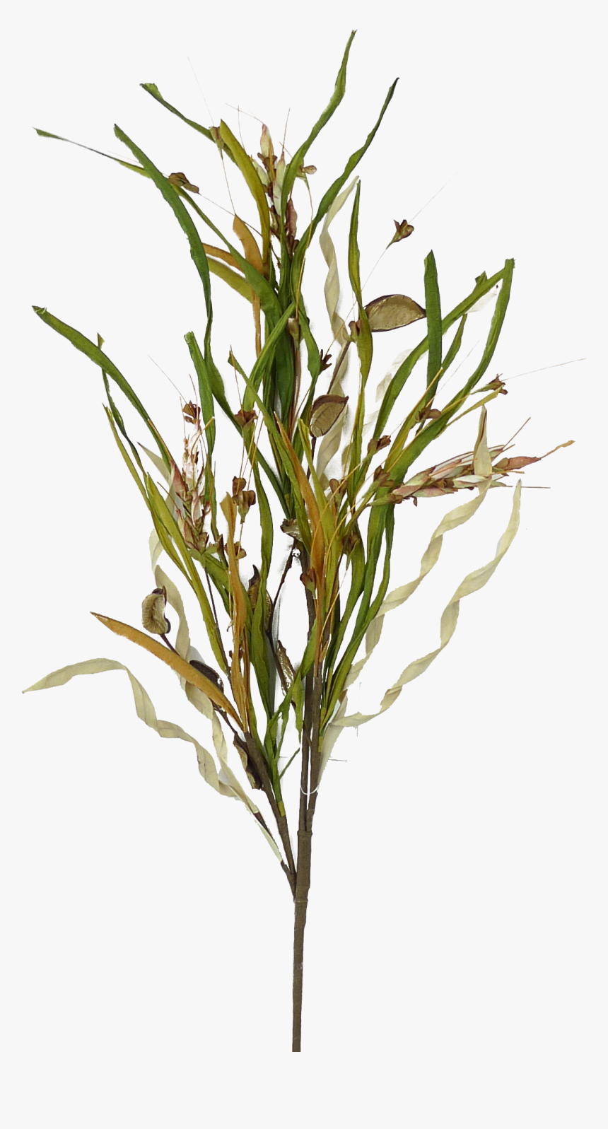 Natural Filler Spray - Twig, HD Png Download