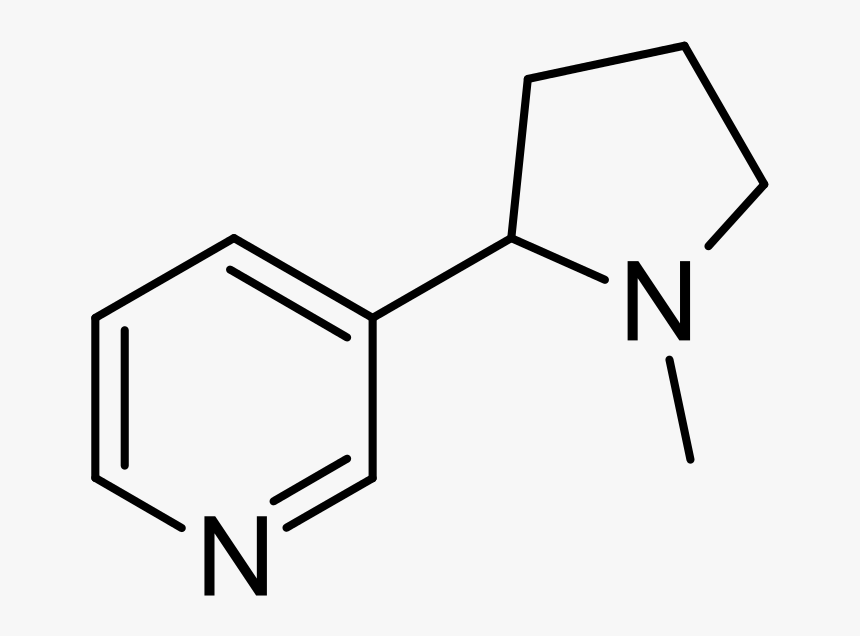 3 Hydroxy 6 Methylpyridine, HD Png Download