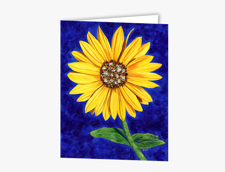 Sunflower Card - African Daisy, HD Png Download