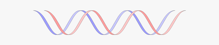 Stylized Dna, HD Png Download