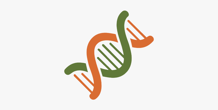 Dna Png - Waterfowl, Transparent Png