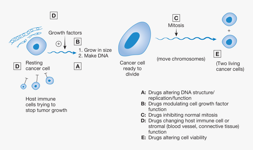 Screenshot, HD Png Download