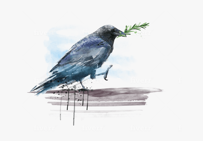 American Crow, HD Png Download