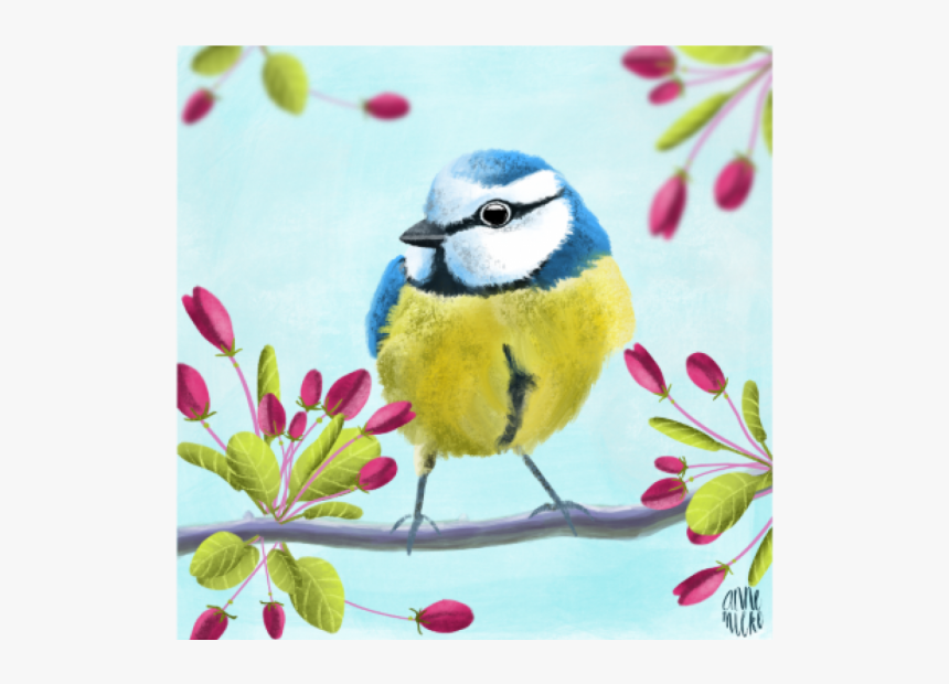 Old World Flycatcher, HD Png Download