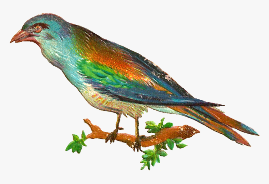 Free Digital Bird Clip Art - Clip Art, HD Png Download