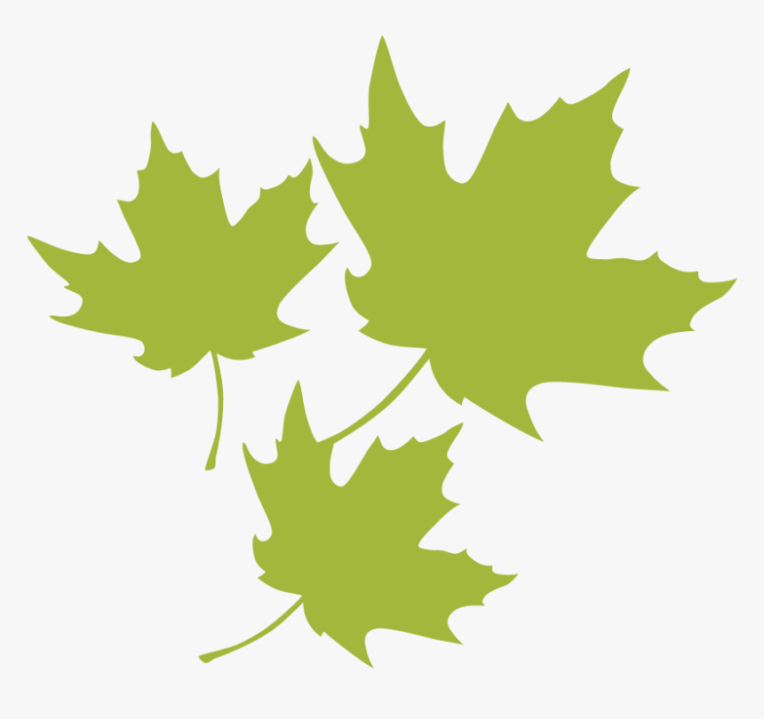 Transparent Maple Leaf Png - Leaf, Png Download