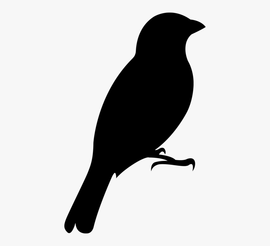 Oriole Publishing For Wind Quintet / Woodwood Quintet - Perching Bird, HD Png Download