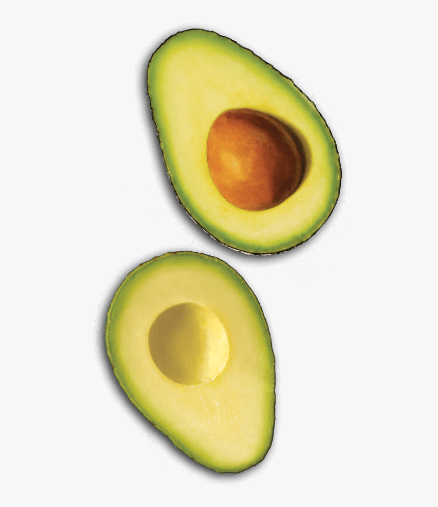 Avocado, HD Png Download