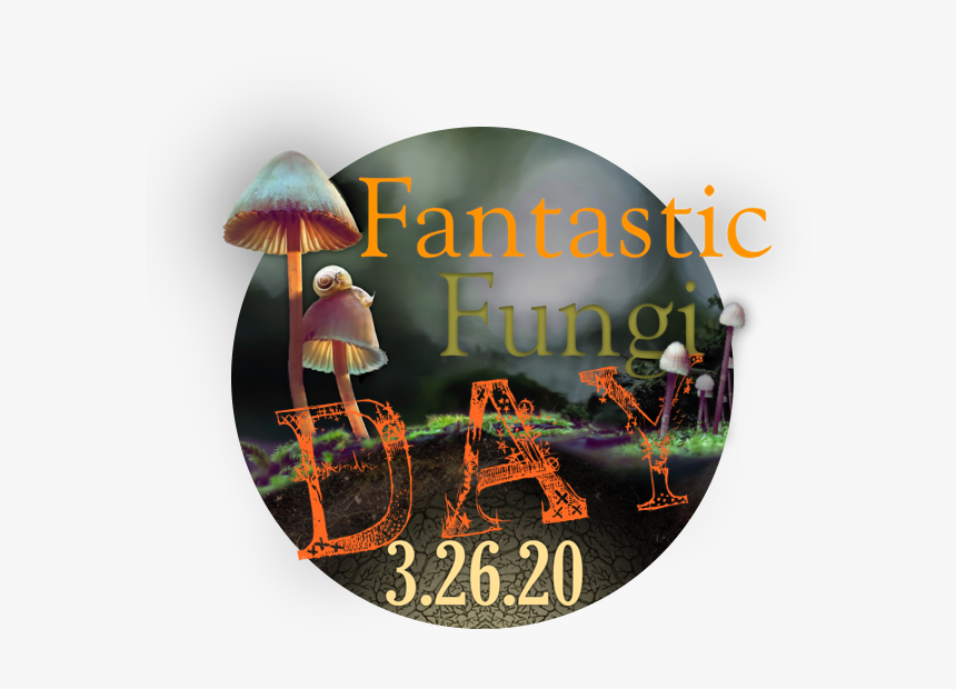 Ffd Circle - Agaricaceae, HD Png Download