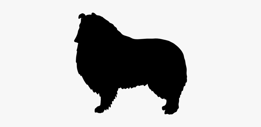 Rough Collie Silhouette Png, Transparent Png